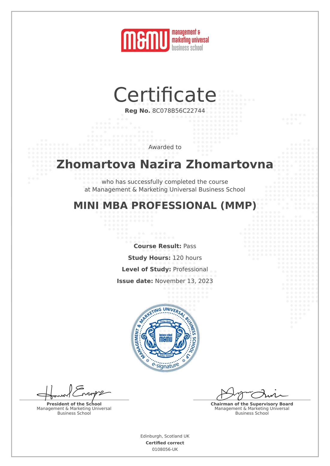 Mini MBA Professional (MMP)